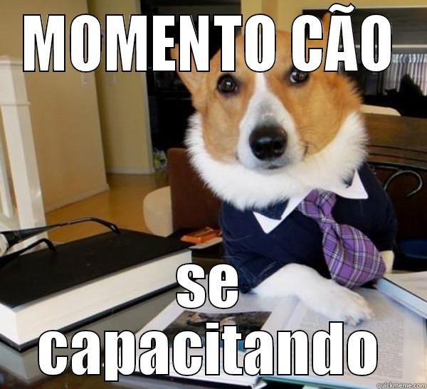 MOMENTO CÃO SE CAPACITANDO Lawyer Dog