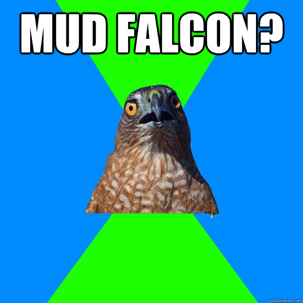 Mud Falcon?  - Mud Falcon?   Hawkward