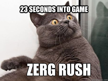 23 seconds into game Zerg RUSH  conspiracy cat