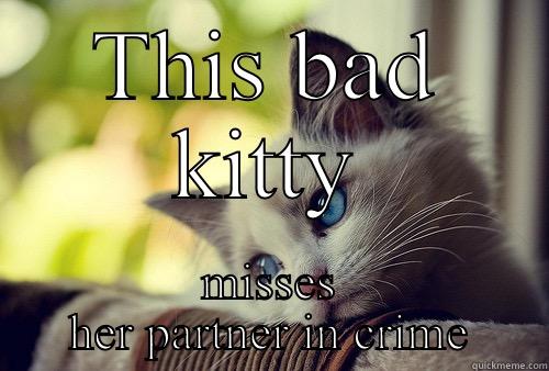 I'm Sorry - THIS BAD KITTY MISSES HER PARTNER IN CRIME First World Problems Cat