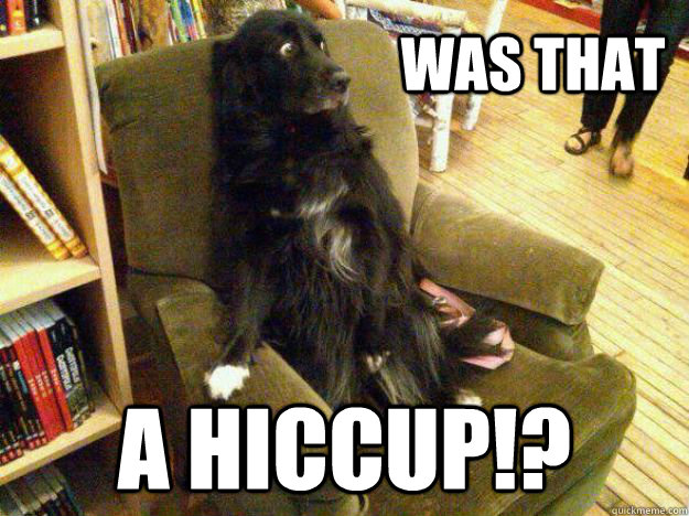 Was that A HICCUP!? - Was that A HICCUP!?  Petrified Pup