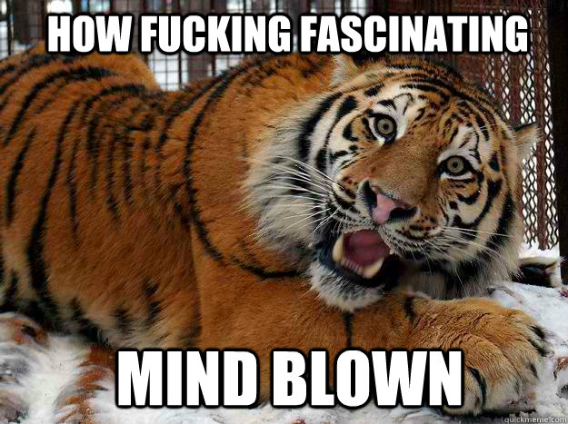  how fucking fascinating  mind blown  Fascinated Tiger