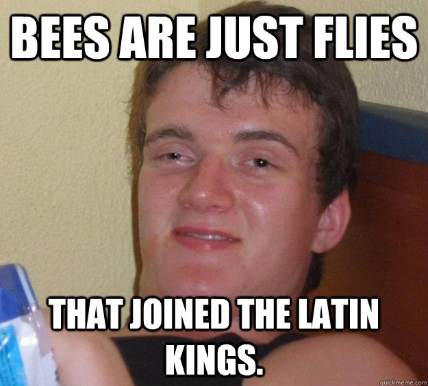 bees are just flies that joined the latin kings.  10 Guy