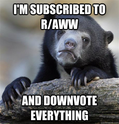 I'm subscribed to r/aww and downvote everything - I'm subscribed to r/aww and downvote everything  Confession Bear