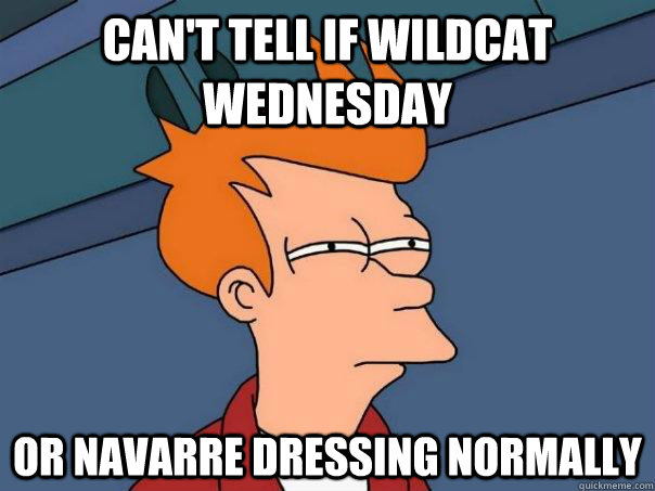 Can't tell if wildcat wednesday or navarre dressing normally - Can't tell if wildcat wednesday or navarre dressing normally  Futurama Fry