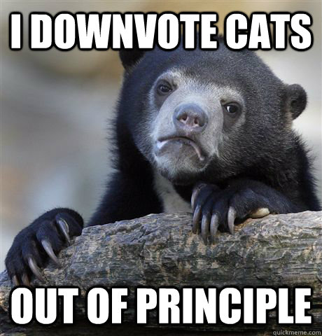 I downvote cats Out of principle  Confession Bear