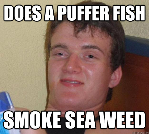 Does a Puffer Fish smoke sea weed  10 Guy