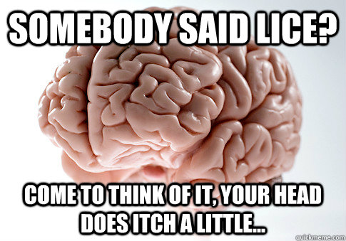 Somebody said lice? Come to think of it, your head does itch a little...  Scumbag Brain