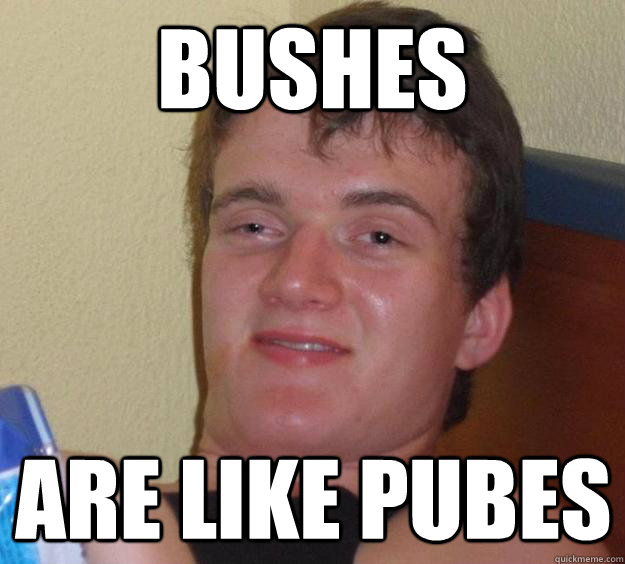 Bushes are like pubes  10 Guy