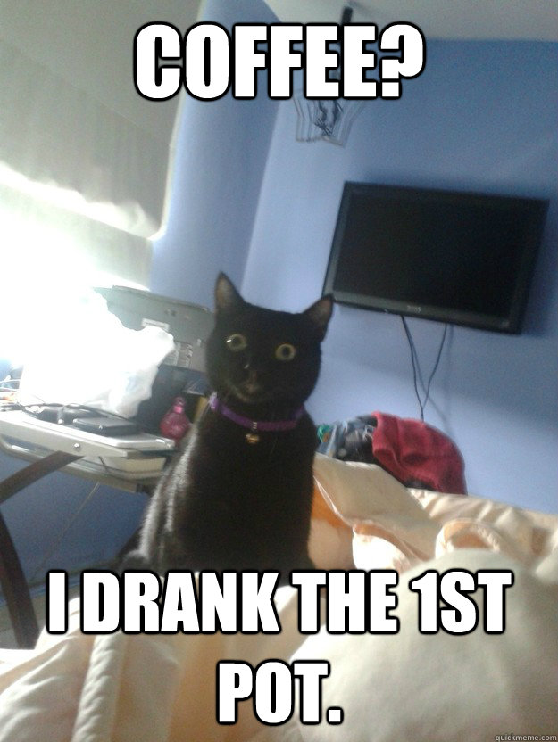 Coffee? I drank the 1st pot.  overly attached cat