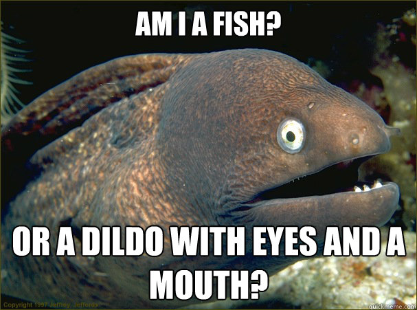 Am I a fish? Or a dildo with eyes and a mouth? - Am I a fish? Or a dildo with eyes and a mouth?  Bad Joke Eel