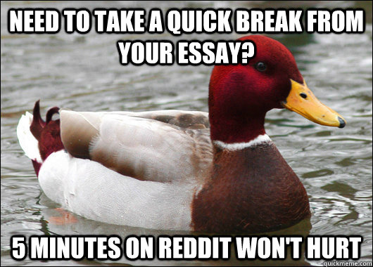 Need to take a quick break from your essay? 5 minutes on reddit won't hurt  Malicious Advice Mallard