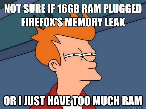 Not sure if 16GB RAM plugged
Firefox's memory leak Or I just have too much RAM  Futurama Fry