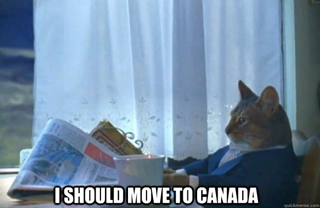 I should move to Canada - I should move to Canada  Sophisticated Cat