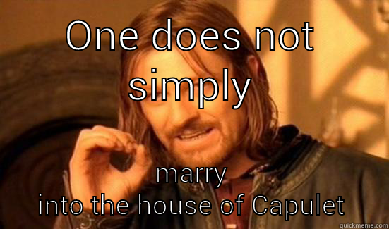 Romeo and Juliet - ONE DOES NOT SIMPLY MARRY INTO THE HOUSE OF CAPULET Boromir