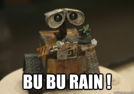  Bu bu rain !  