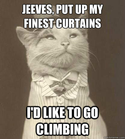 Jeeves, put up my 
finest curtains I'd like to go climbing  