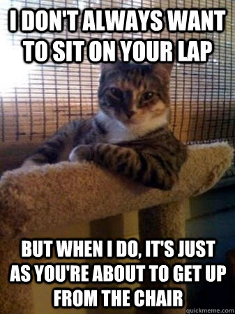 I don't always want to sit on your lap but when I do, it's just as you're about to get up from the chair - I don't always want to sit on your lap but when I do, it's just as you're about to get up from the chair  The Most Interesting Cat in the World