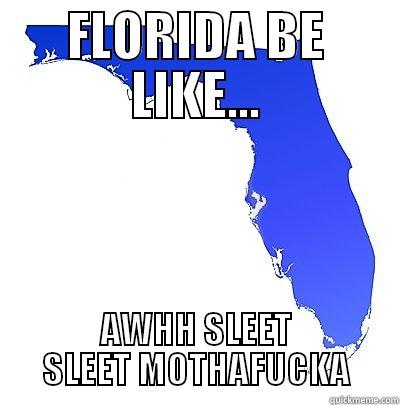 FLORIDA BE LIKE... AWHH SLEET SLEET MOTHAFUCKA Misc