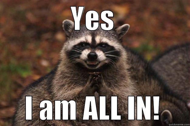 YES I AM ALL IN! Evil Plotting Raccoon