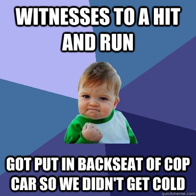 Witnesses to a hit and run got put in backseat of cop car so we didn't get cold  Success Kid