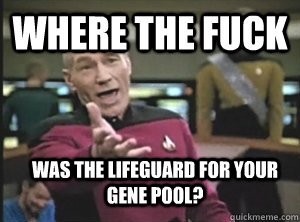 Where the fuck  was the lifeguard for your gene pool?  Annoyed Picard