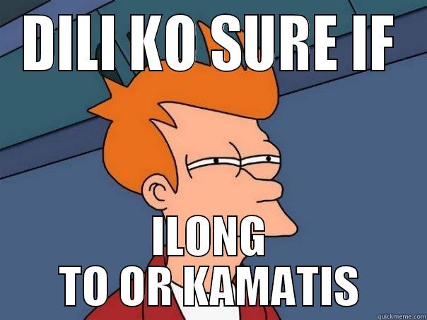 DILI KO SURE IF ILONG TO OR KAMATIS Futurama Fry