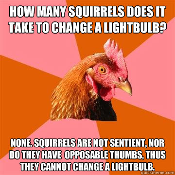 how many squirrels does it take to change a lightbulb? NONE. Squirrels are not sentient, nor do they have  opposable thumbs, thus they cannot change a lightbulb.  Anti-Joke Chicken