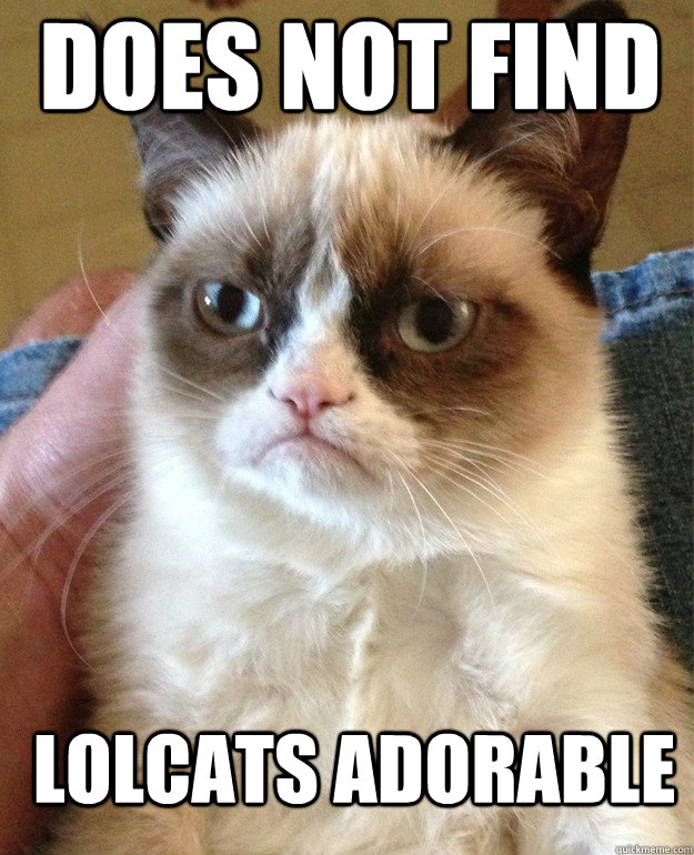 Does not find lolcats adorable  Grumpy Cat