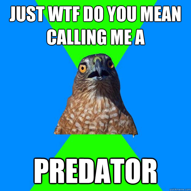 just wtf do you mean calling me a predator  Hawkward