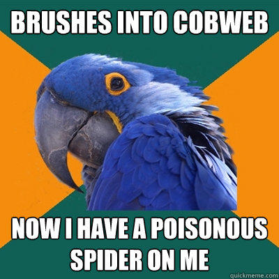 brushes into cobweb now i have a poisonous spider on me - brushes into cobweb now i have a poisonous spider on me  Paranoid Parrot