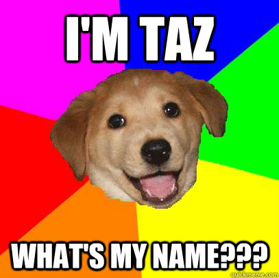 I'm Taz What's my name???  Advice Dog