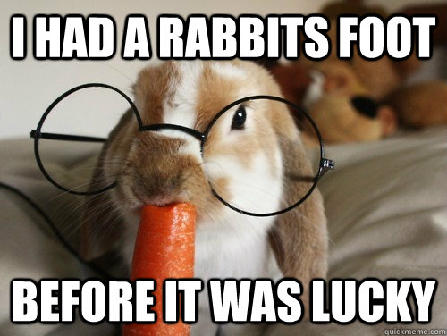 I had a rabbits foot  before it was lucky - I had a rabbits foot  before it was lucky  Hipster Rabbit