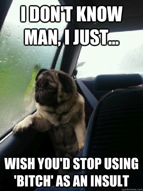 I don't know man, I just... wish you'd stop using 'bitch' as an insult  Introspective Pug