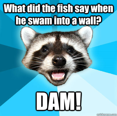 What did the fish say when he swam into a wall? DAM! - What did the fish say when he swam into a wall? DAM!  Lame Pun Coon