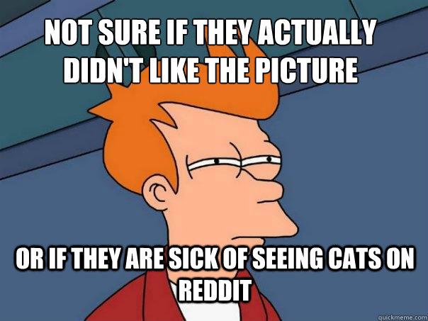 Not sure if they actually didn't like the picture Or If they are sick of seeing cats on reddit   Futurama Fry