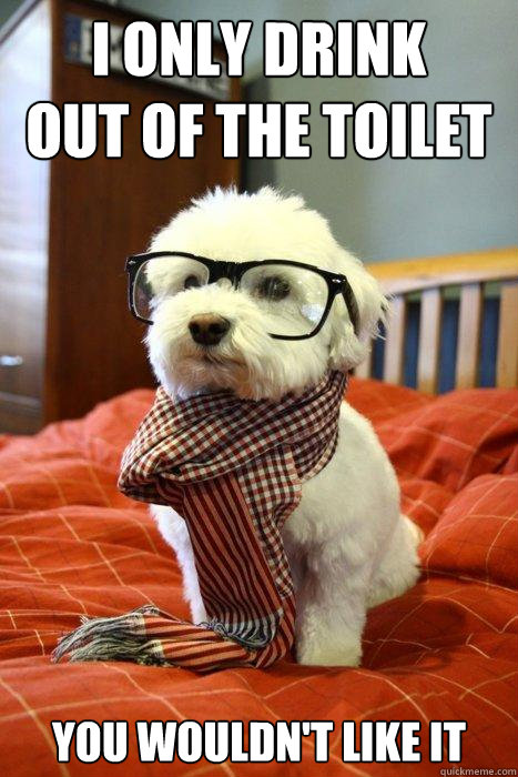 I ONLY DRINK
OUT OF THE TOILET YOU WOULDN'T LIKE IT  Hipster Dog