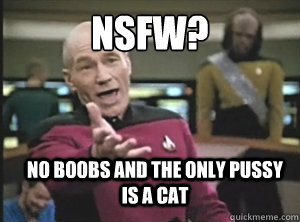 NSFW? NO BOOBS AND THE ONLY PUSSY IS A CAT  Annoyed Picard