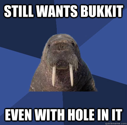 Still wants bukkit even with hole in it  Web Developer Walrus