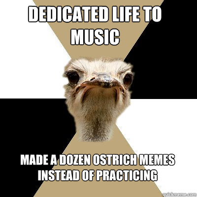 Dedicated life to music Made a dozen ostrich memes instead of practicing  