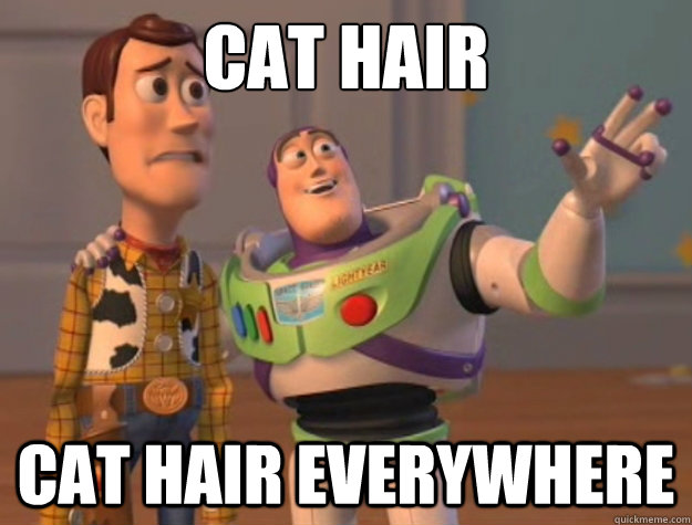 Cat hair cat hair everywhere  Buzz Lightyear