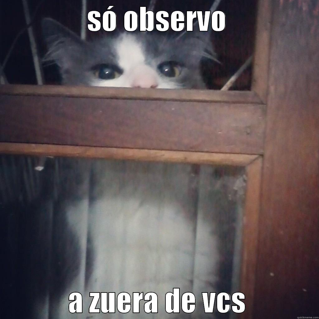 SÓ OBSERVO A ZUERA DE VCS Misc