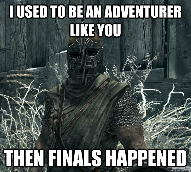 I used to be an adventurer like you Then finals happened  Skyrim Guard