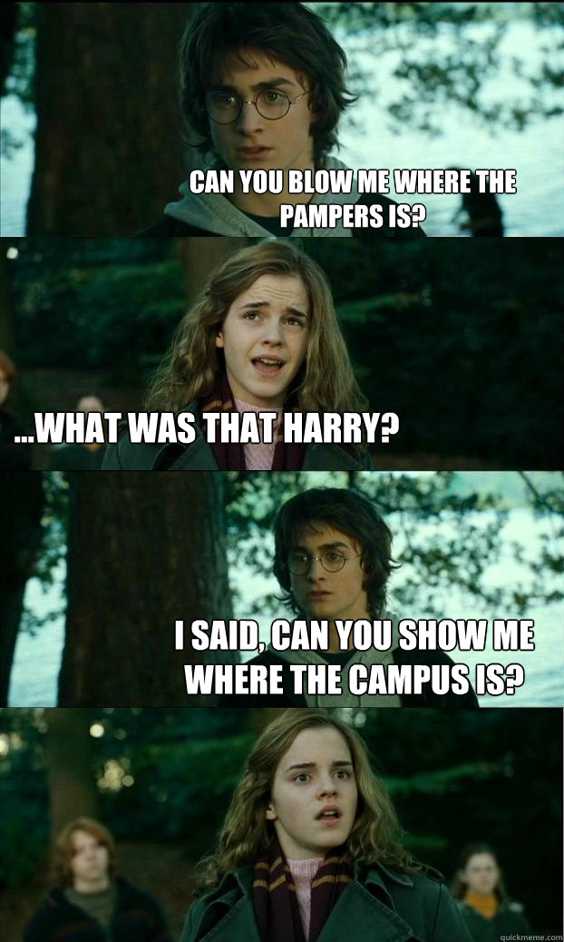 can you blow me where the pampers is? ...what was that harry? i said, can you show me where the campus is?  Horny Harry