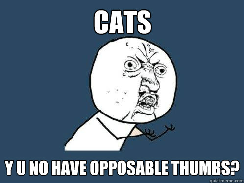 cats y u no have opposable thumbs?  Y U No