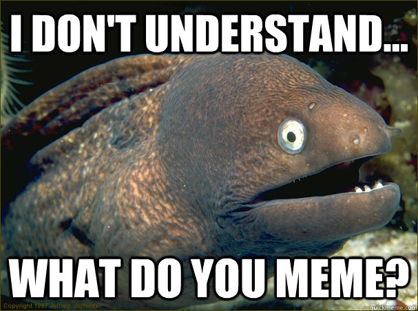 i don't understand... What do you meme?  Bad Joke Eel