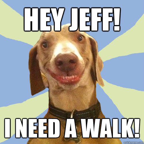 Hey Jeff! I need a walk!  Disgusting Doggy