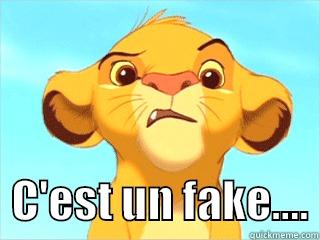 simba fake diora -                  C'EST UN FAKE.... Misc