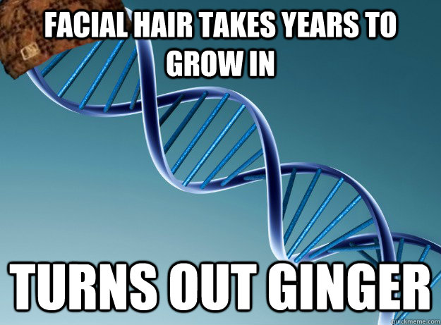 facial hair takes years to grow in turns out ginger - facial hair takes years to grow in turns out ginger  Scumbag Genetics