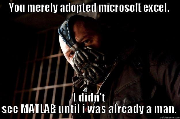 Excel Bane - YOU MERELY ADOPTED MICROSOFT EXCEL. I DIDN'T SEE MATLAB UNTIL I WAS ALREADY A MAN. Angry Bane